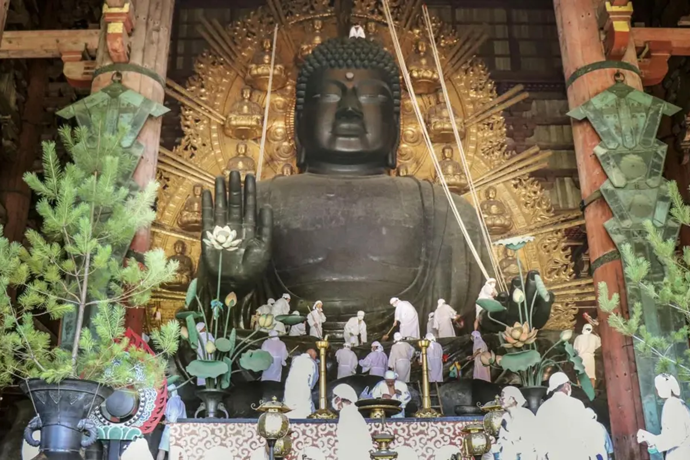 Nara Private Tour by Public Transportation from Osaka